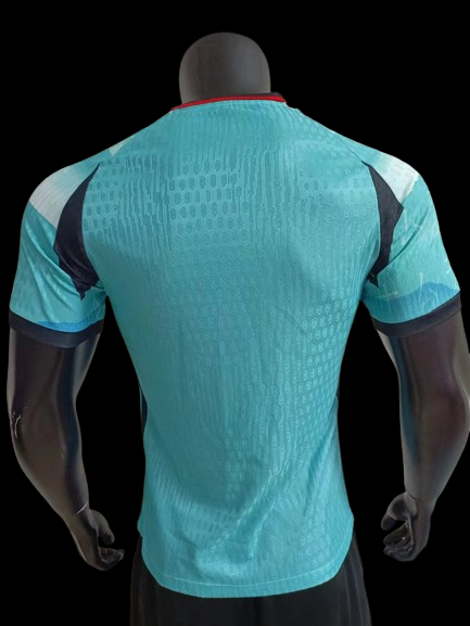 Japan Concept Jersey