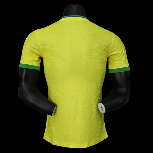 Brazil Concept Jersey