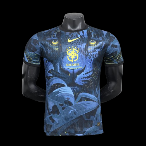 Brazil Concept Jersey