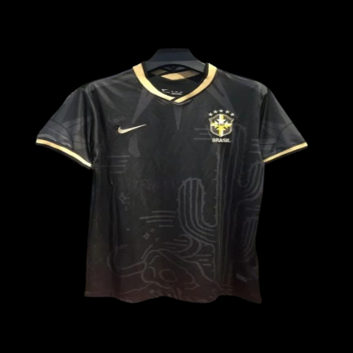 Brazil Concept Jersey