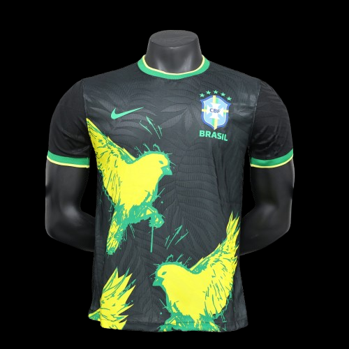 Brazil Concept Jersey