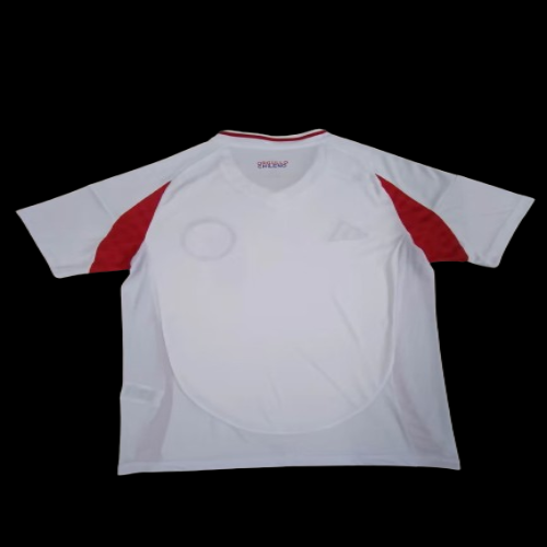 Chile Away Jersey 2024-2025