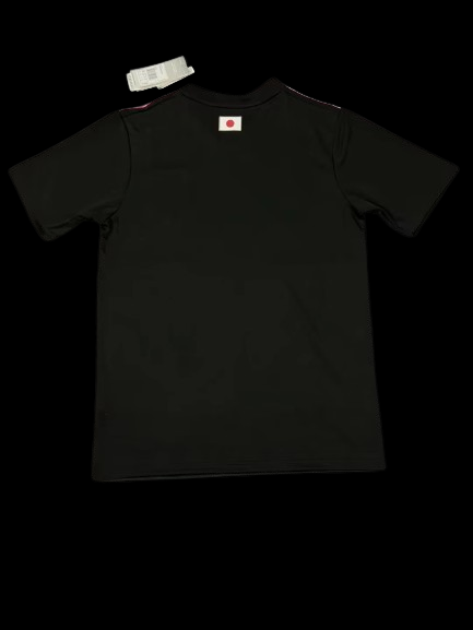 Japan Concept Jersey