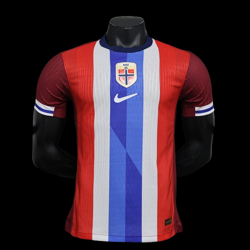 Maillot Domicile Norvege 2024-2025