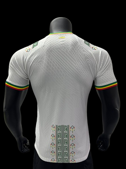 Maillot Domicile Sénégal 2024-2025