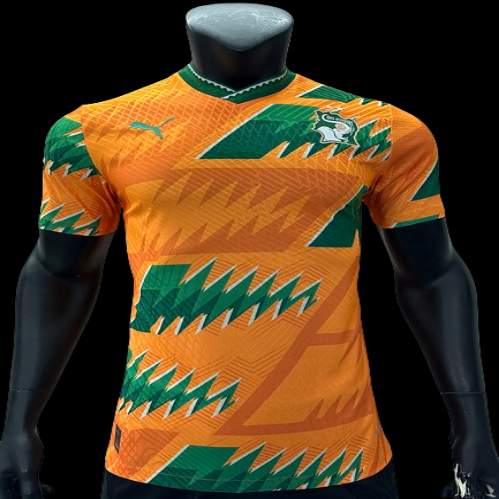 Maillot Extérieur Sénégal 2024-2025