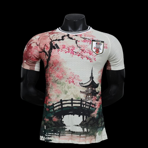 Japan Concept Jersey