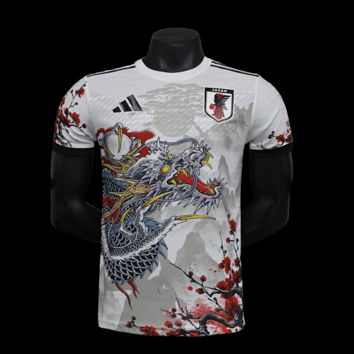 Japan Concept Jersey