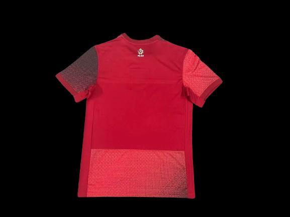 Poland Away Jersey 2024-2025